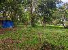 Commercial Lot for Lease in  General Trias, Cavite